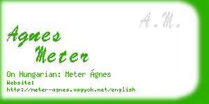 agnes meter business card