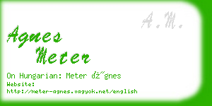 agnes meter business card